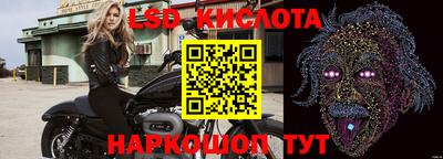 дживик Тайшет