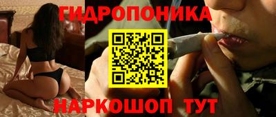 хмурый Сосновый Бор