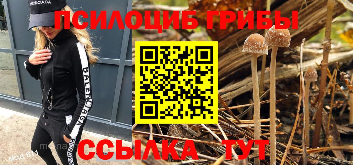 Псилоцибиновые грибы ЛСД  Вход с VPN  Галлюциногенные грибы Psilocybe  Мелеуз 
