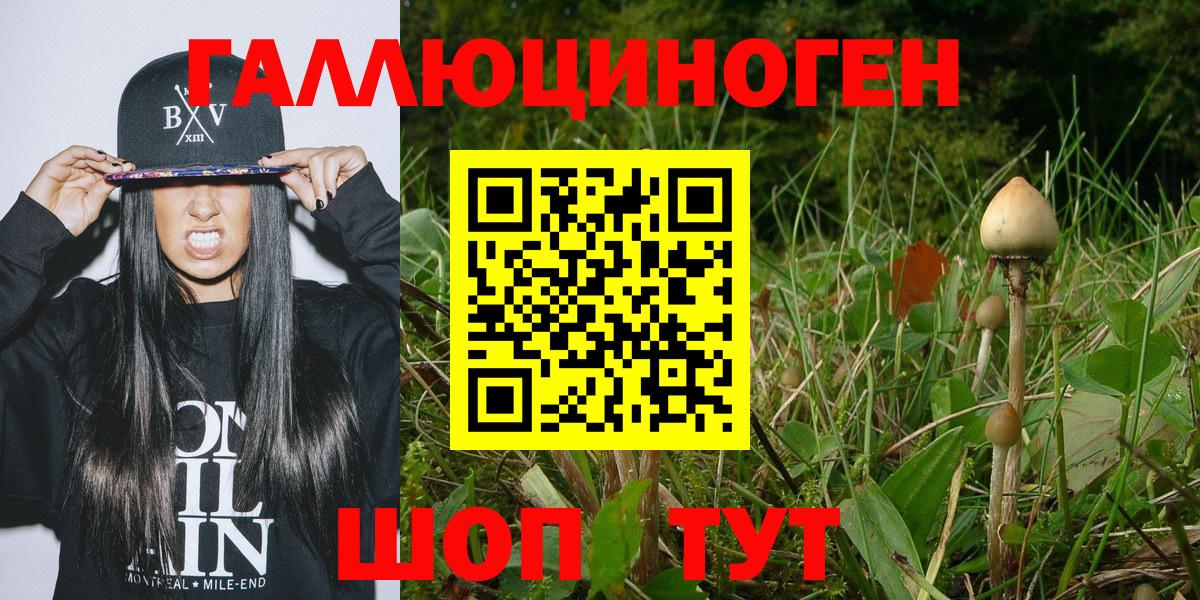 Псилоцибиновые грибы Magic Shrooms Мелеуз